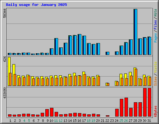 Daily usage for January 2025