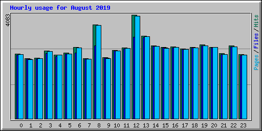 Hourly usage for August 2019