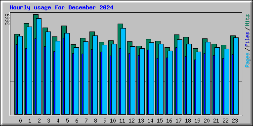 Hourly usage for December 2024