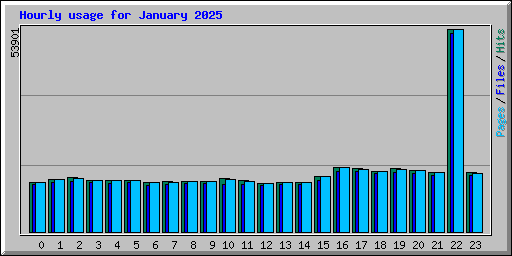 Hourly usage for January 2025