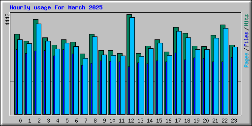 Hourly usage for March 2025