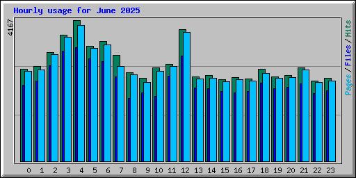 Hourly usage for June 2025