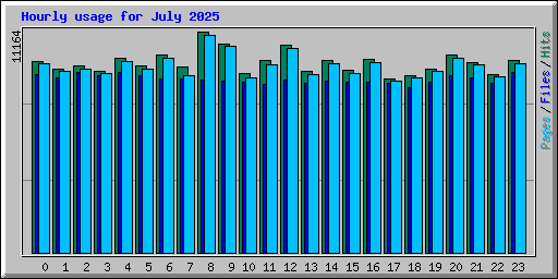 Hourly usage for July 2025