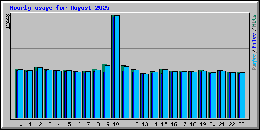 Hourly usage for August 2025