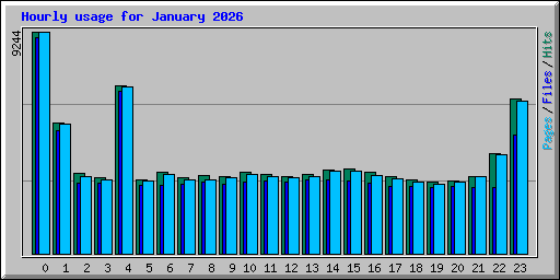 Hourly usage for January 2026